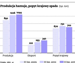 Zachód chętnie kupuje nasze kurczaki