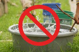 zakaz używania deszczówki do podlewania trawników i roślin. nie będzie można myć nią tarasu ani auta. weszły w życie nowe ograniczenia