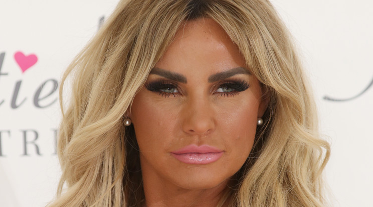 Katie Price ismét babát vár /Fotó: Northfoto