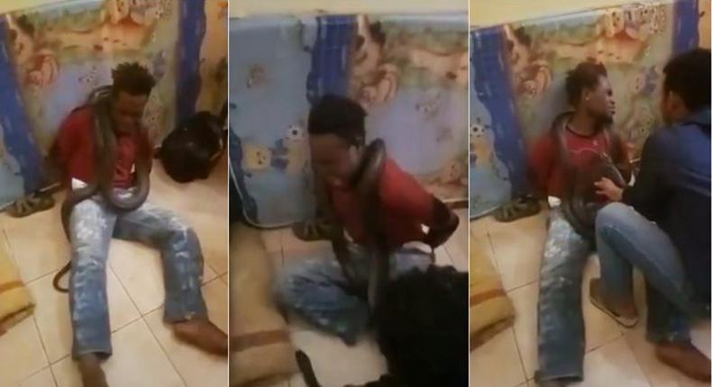 Police apologise for using live snake to interrogate suspect