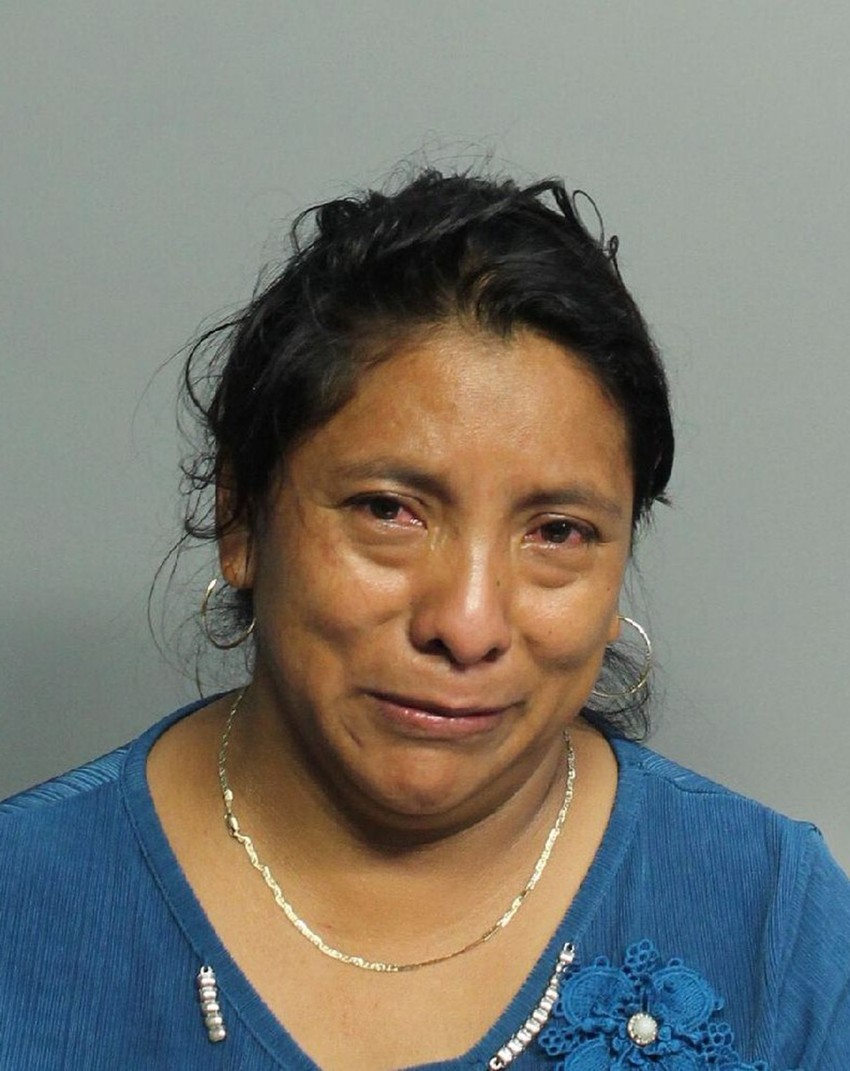 Huana Perez-Domingo je ušla u kuću u jutarnjim satima, a tek oko 15 časova je shvatila da je dete ostalo u automobilu