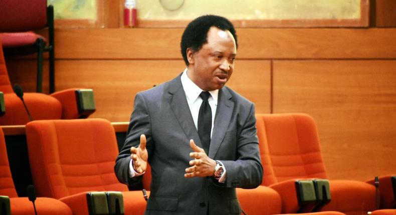 Senator Shehu Sani [ICIR]