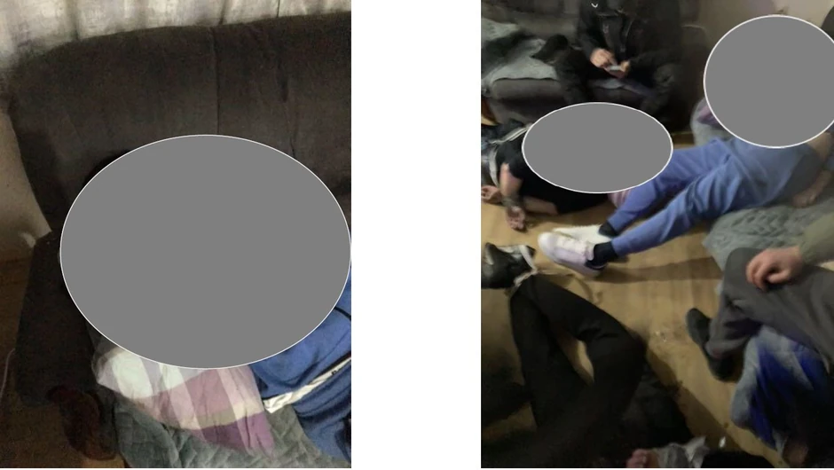 Damir Hodžić i Adis Spahić