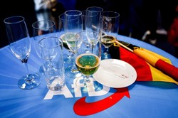 Wyniki w Niemczech: CDU/CSU z oddechem populistycznej AfD na karku