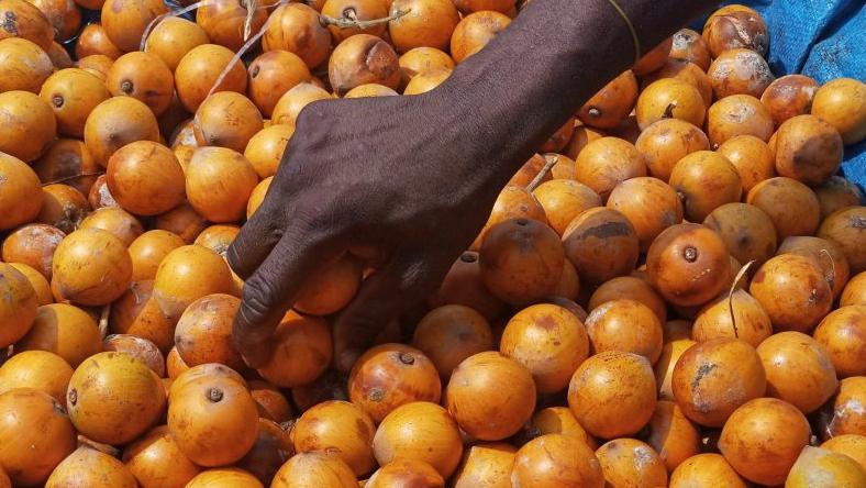 Meaning Of Agbalumo