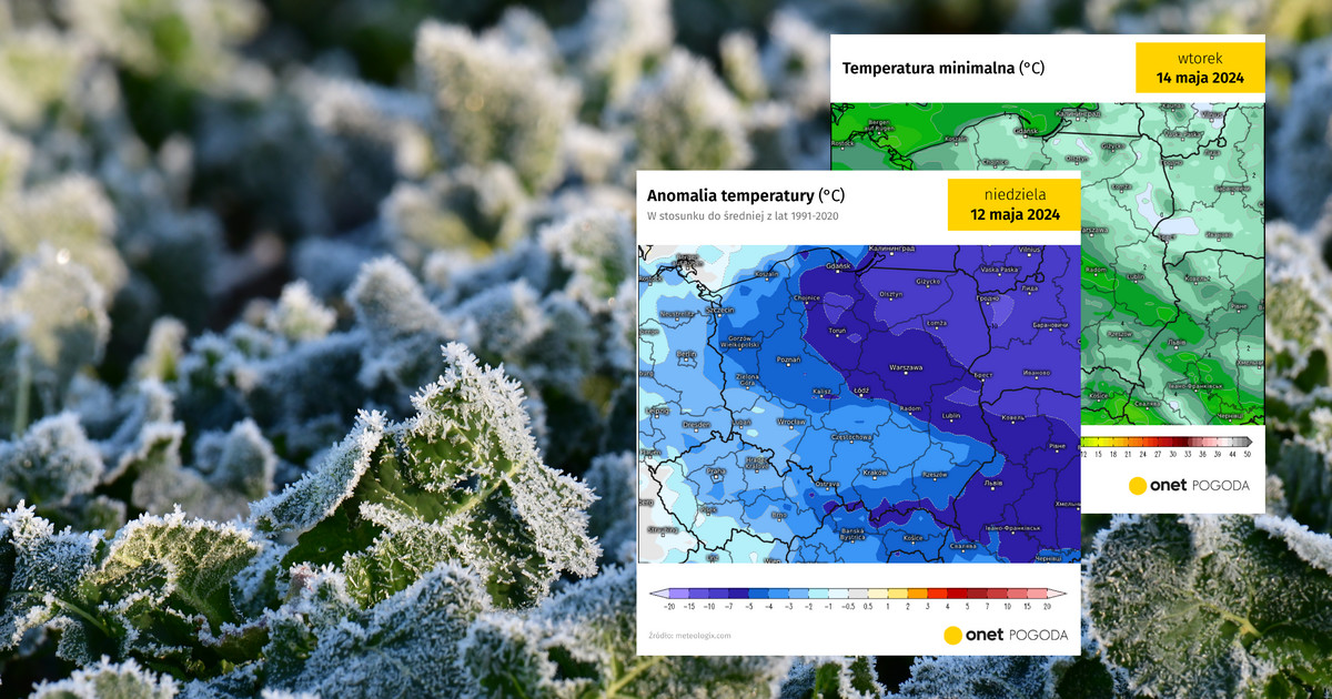 Der Frost wird Polen erneut treffen.  Wir kennen das genaue Datum