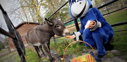 Usiołek skończył 16 lat