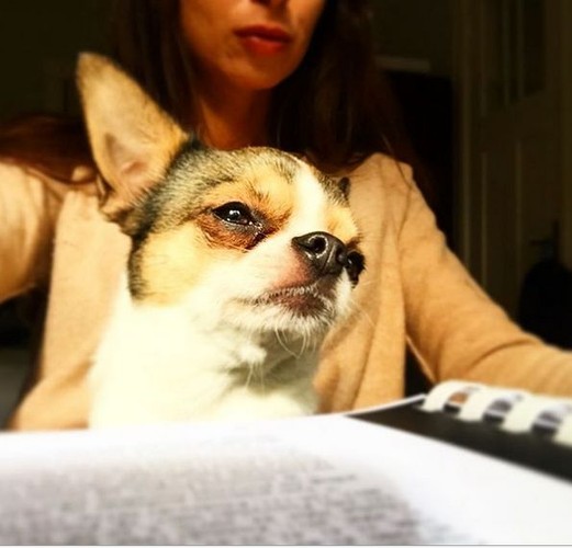 zdjęcie z profilu Marty Kaczyńskiej