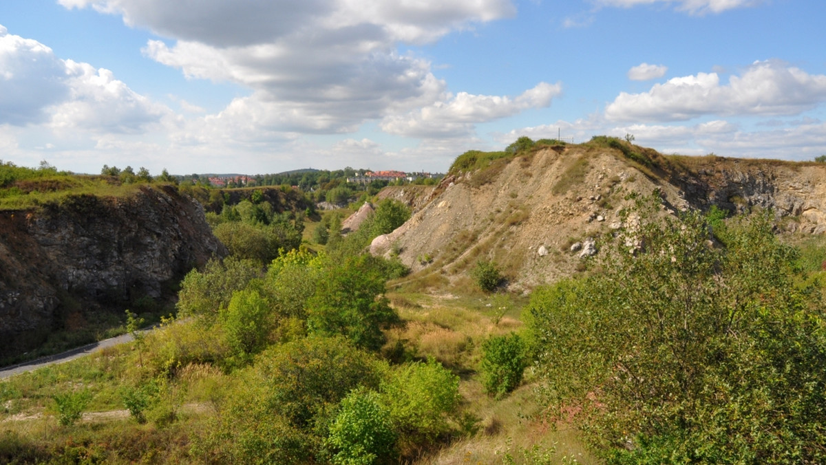 "Z piórem i młotkiem, czyli geologiczny spacer śladami Stefana Żeromskiego” – tak brzmi hasło przewodnie III edycji Geologicznej Gry Terenowej organizowanej przez Geopark Kielce, Oddział Muzeum Narodowego w Kielcach, Muzeum Lat Szkolnych Stefana Żeromskiego  przy współpracy z Regionalnym Centrum Informacji Turystycznej w Kielcach.