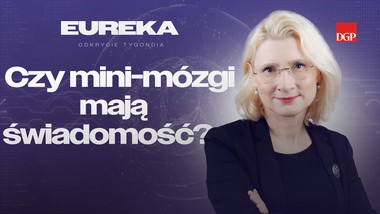 czy mini-mózgi mają świadomość? [eureka - odkrycie tygodnia]