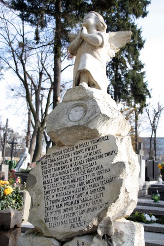 STARY CMENTARZ KATEDRALNY W ŁOMŻY