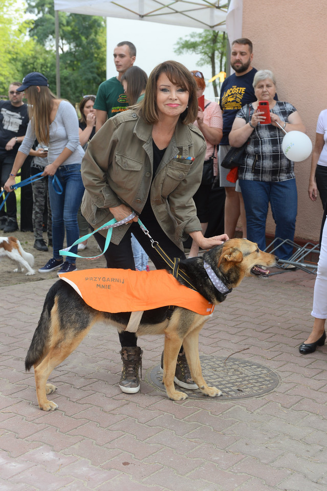 Izabela Trojanowska w akcji "Gwiazdy zwierzętom"