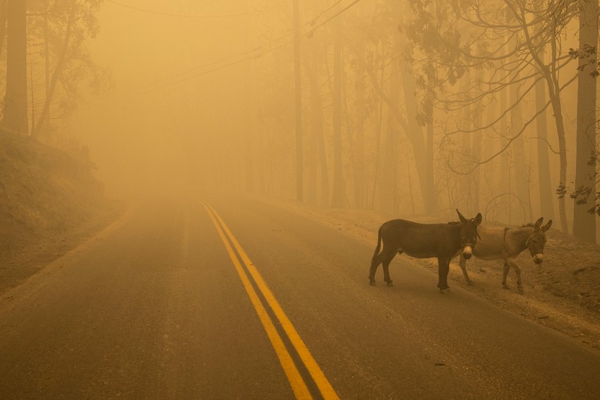 Požari u Kaliforniji - Beri Krik