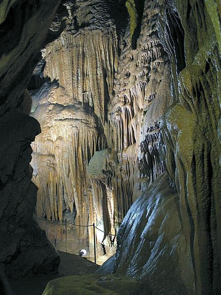 Galeria Słowenia - Kras, obrazek 6