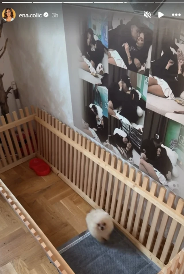 PRINOVA U DOMU ENE ČOLIĆ I JOVANA PEJE: Pripremili poseban kutak u sobi za njega, pratioci odmah pojurili da čestitiaju! (FOTO)