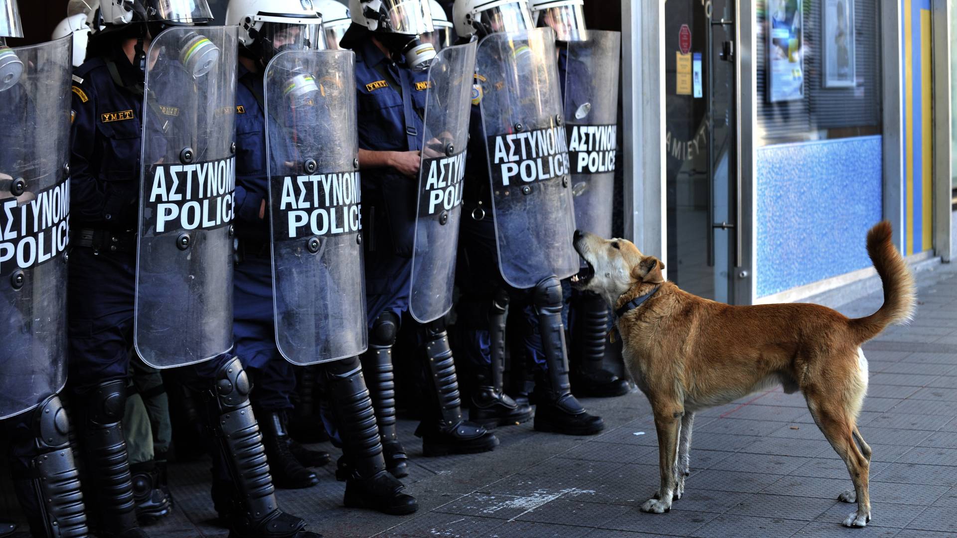 Pas koji je voleo demonstracije uvek je bio na strani naroda! Zbog njega je nastao termin riot dog i proglašen je za ličnost godine