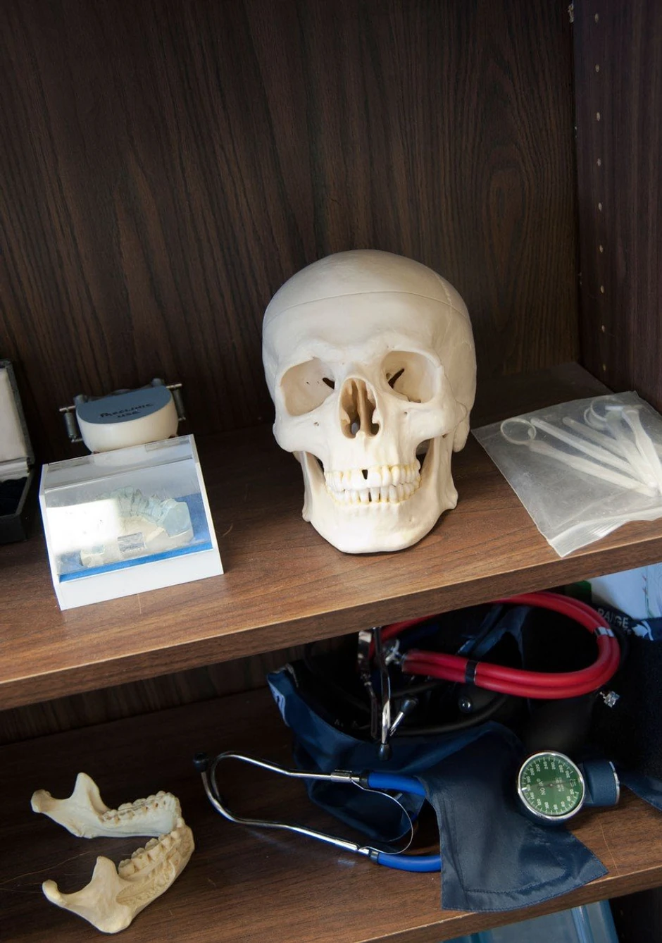 Obuka sa mrtvim telima je deo medicinske obuke, a u današnje vreme koriste se skupa veštačka tela