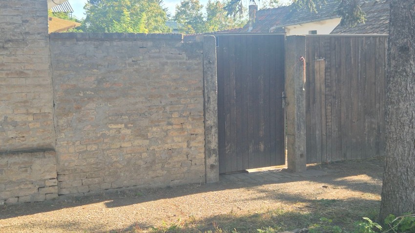 Pas leži kraj kapije