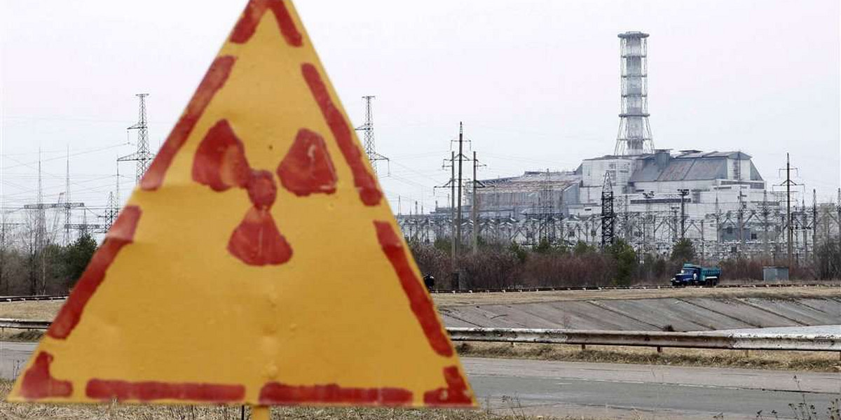 Niespodziewane odkrycie w Czarnobylu. Naukowcy ujawnili zaskakującą rzecz!