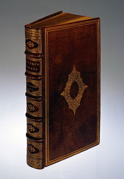 Książka o kobiecym dziewictwie autorstwa S. Pinaeusa. Oprawiona w ludzką skórę ok. 1865 r.