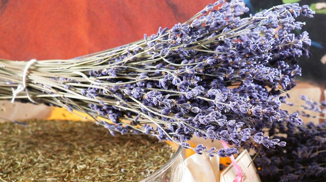 Lavanda je pravi spas za našu kosu