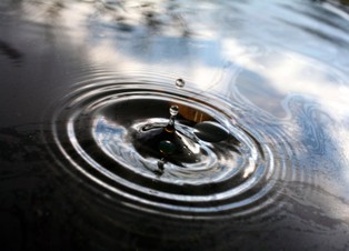 Ropa znów blisko 7-miesięcznego maksimum