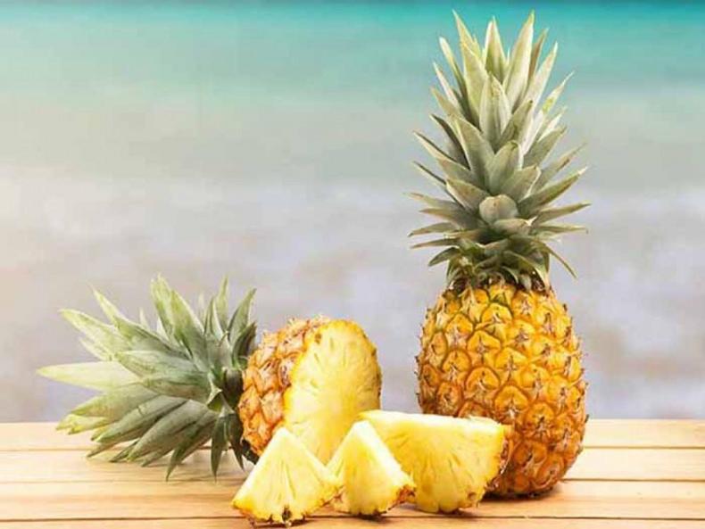 Pineapples [HospitalityDental]