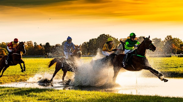 Pierwsze konie w padoku pojawią się o godz. 10.30.