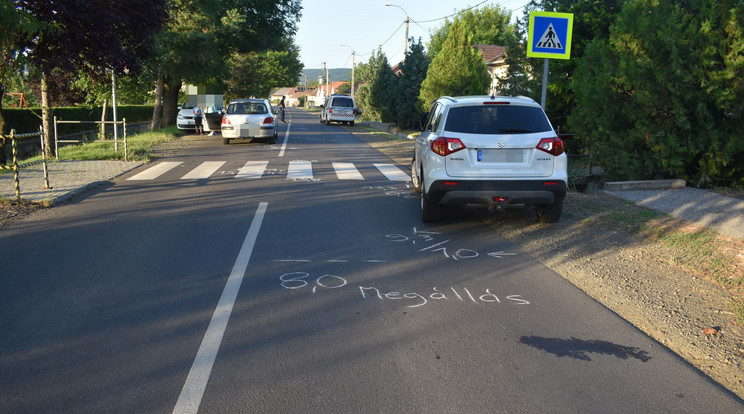 A rátkai sofőr átlépte a záróvonalat, figyelmen kívül hagyta a gyalogátkelőhelyet jelző táblát, továbbá kikerülte azt az autót, amelyik megállt, hogy átengedje a gyerekeket a zebrán/ Fotó: police.hu