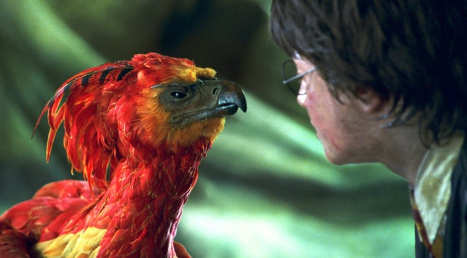 Feniks Fawkes z filmu "Harry Potter"