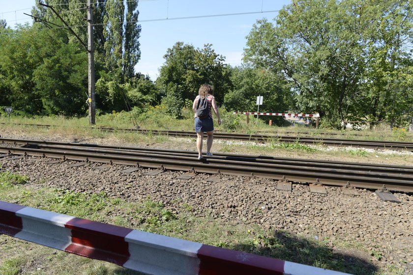 Zamiast się cofnąć, spacerujący wolą przechodzić przez tory