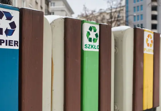 Sprawdziliśmy, czego dzieci uczą się o ekologii w polskich szkołach 