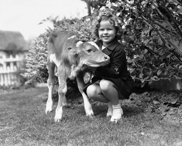 Shirley Temple (1928 – 2014)
