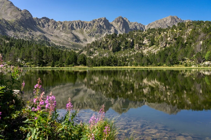 Andora