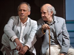 Martwe dusze, martwe mewy