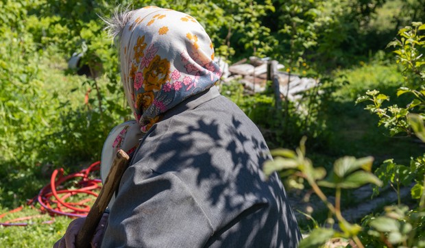 baka shutterstock 2005143299