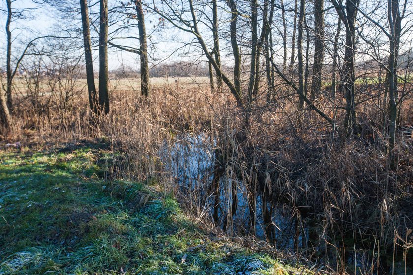 Śmierć w drodze do dziewczyny