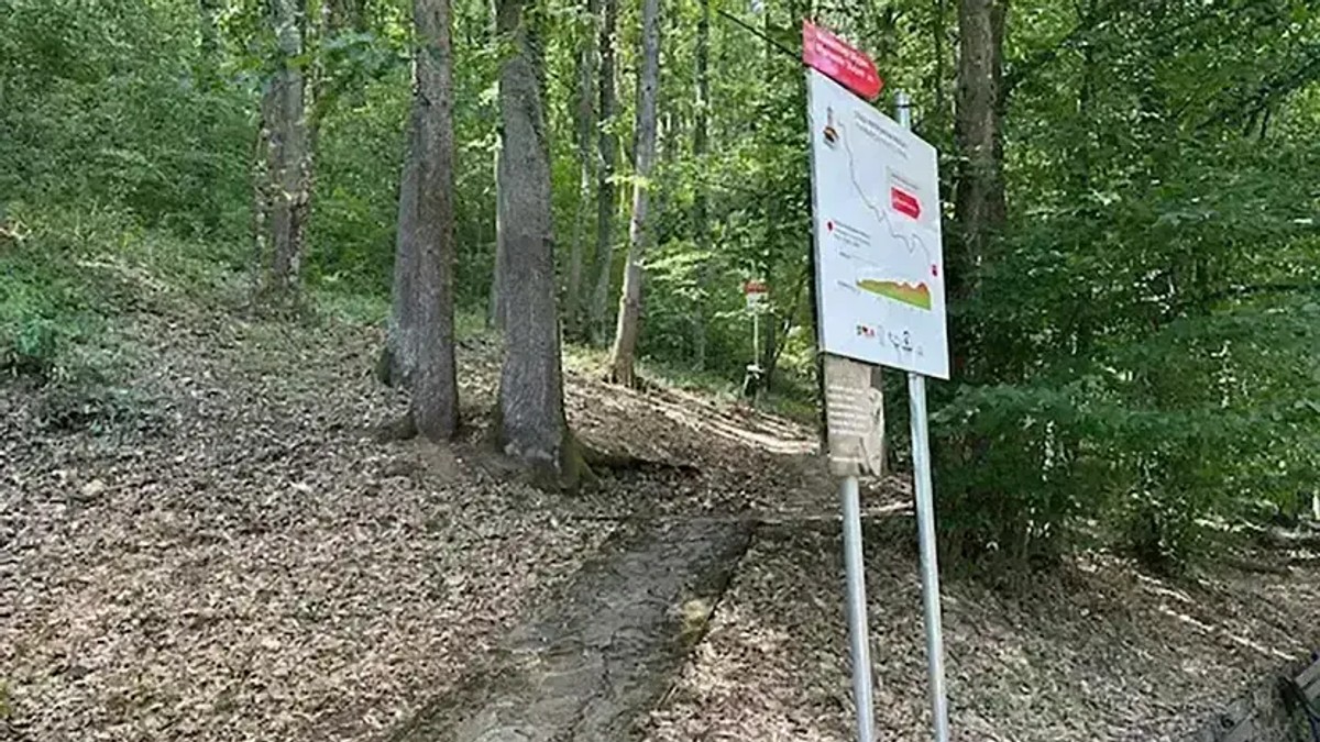 Pešačka staza "Patrijarh Pavle"