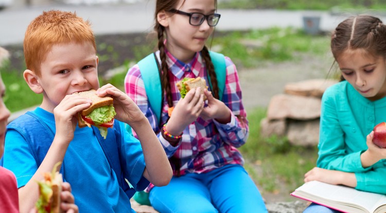 Olyan tudást szereztek, ami egy egész életen át kamatozik majd