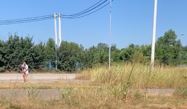 Kose travu na graničnom prelazu