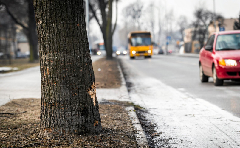 Wypadek seicento z kolumną Szydło. Kierowca BOR złamał przepisy? Prokuratura chce uzupełnienia wniosku