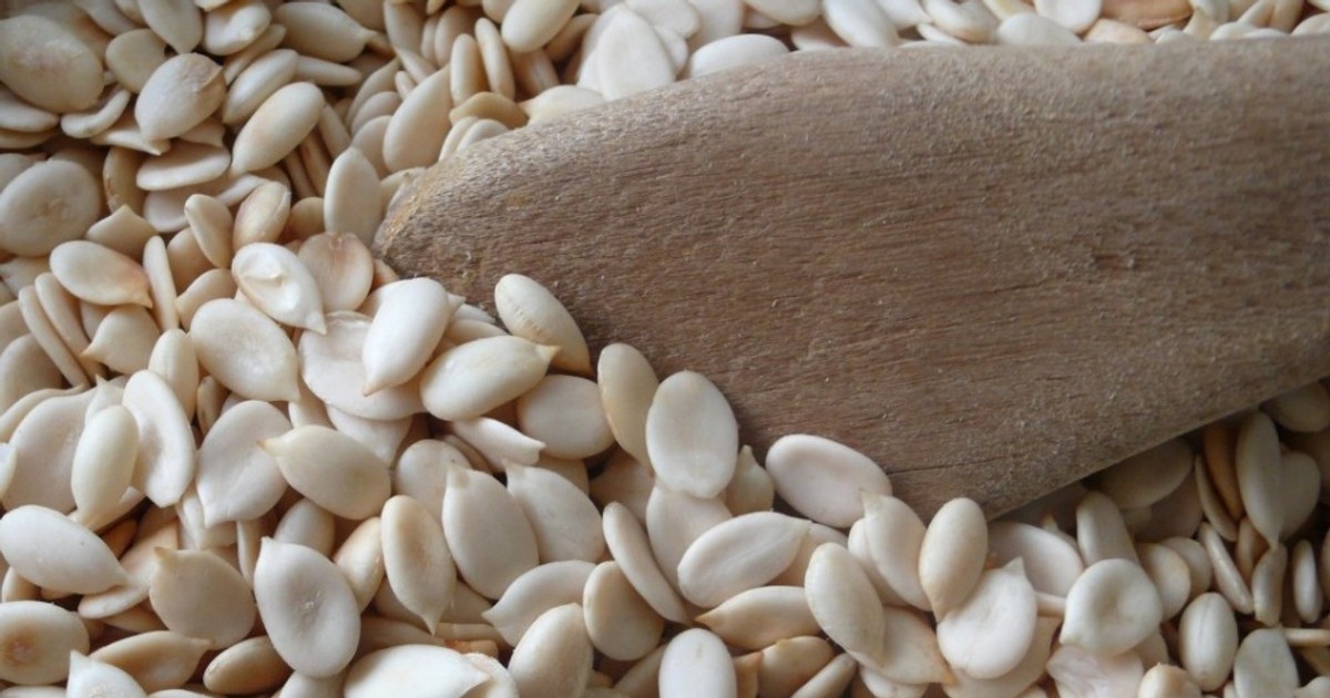 Egusi Amazing health benefits of Melon Pulse Nigeria