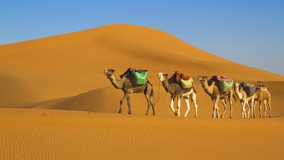 Sahara pustynia Tunezja