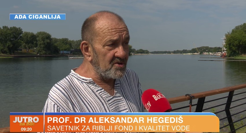 Prof dr Aleksandar Hegediš