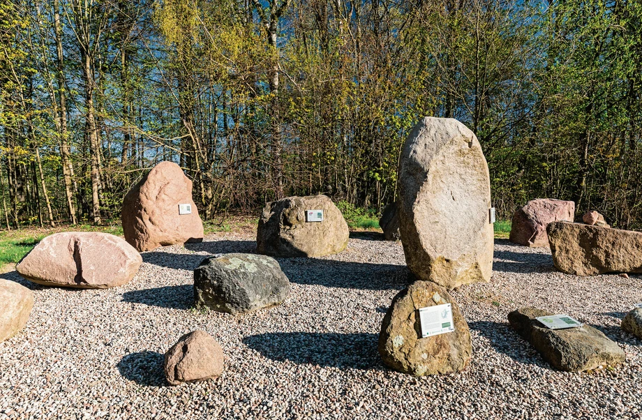 Pozostałości lądolodu, czyli głazy narzutowe przyciągnięte z terenu Skandynawii.