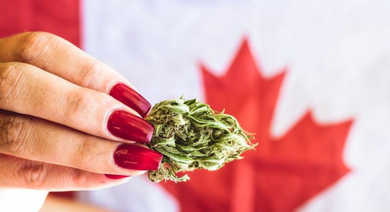 marijuana cannabis cost Canada United States