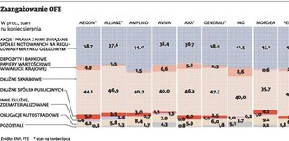 Czy reforma Rostowskiego pogrąży OFE?