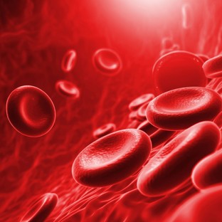 Debreceni professzort díjaztak a vér áramlásának kutatásáért