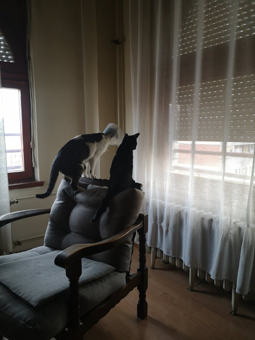 Rajka je ovde našla i drugaricu