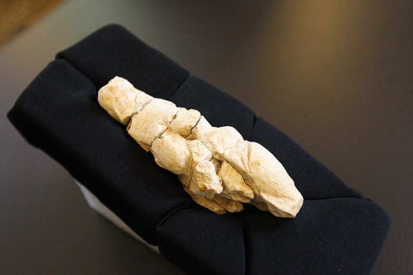 Praistorijska Kim Kardašijan